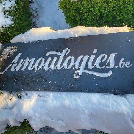 Villa Amoulogies Amougies Екстериор снимка